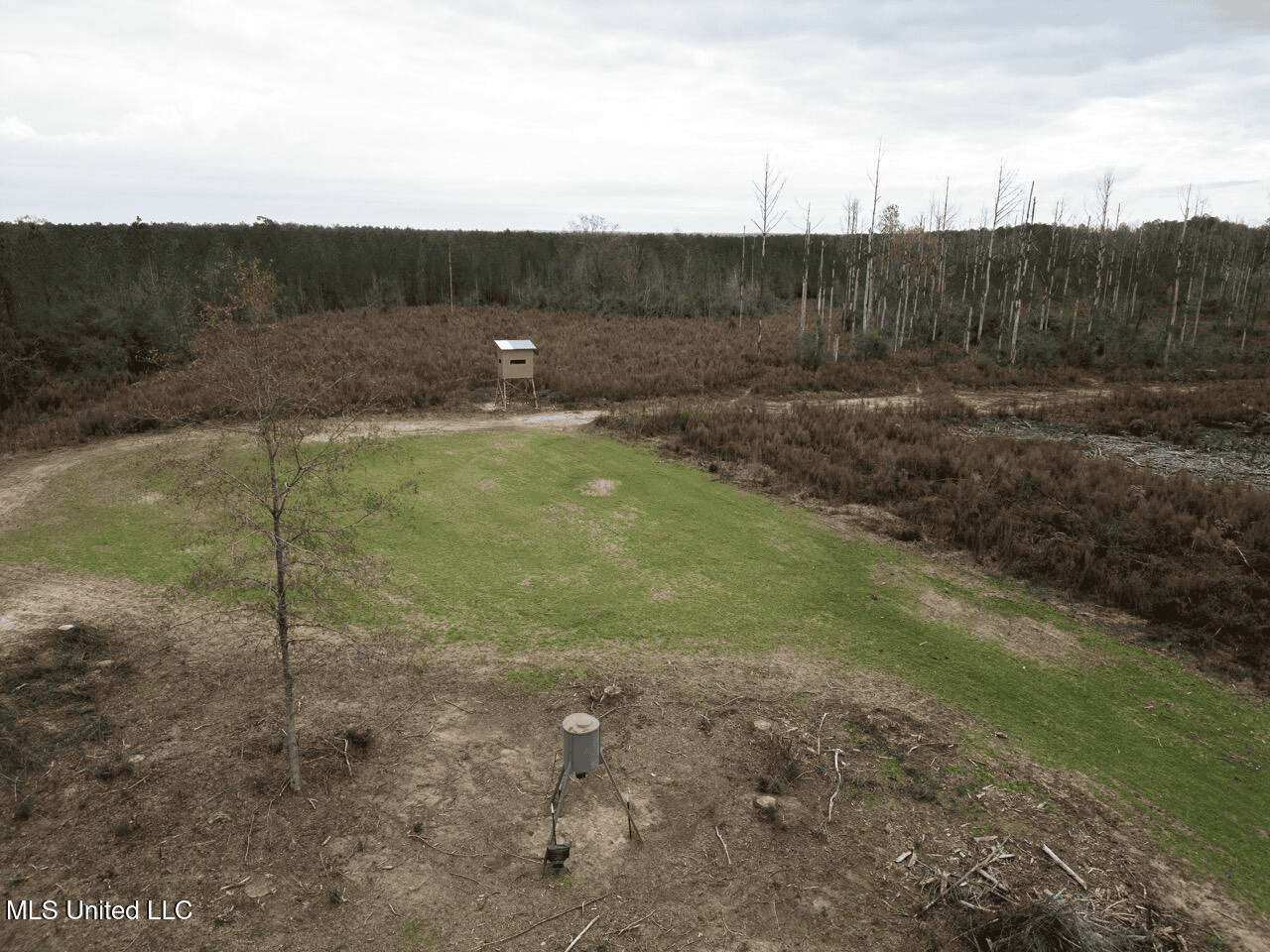 283± Acres for Sale Amite County, Mississippi