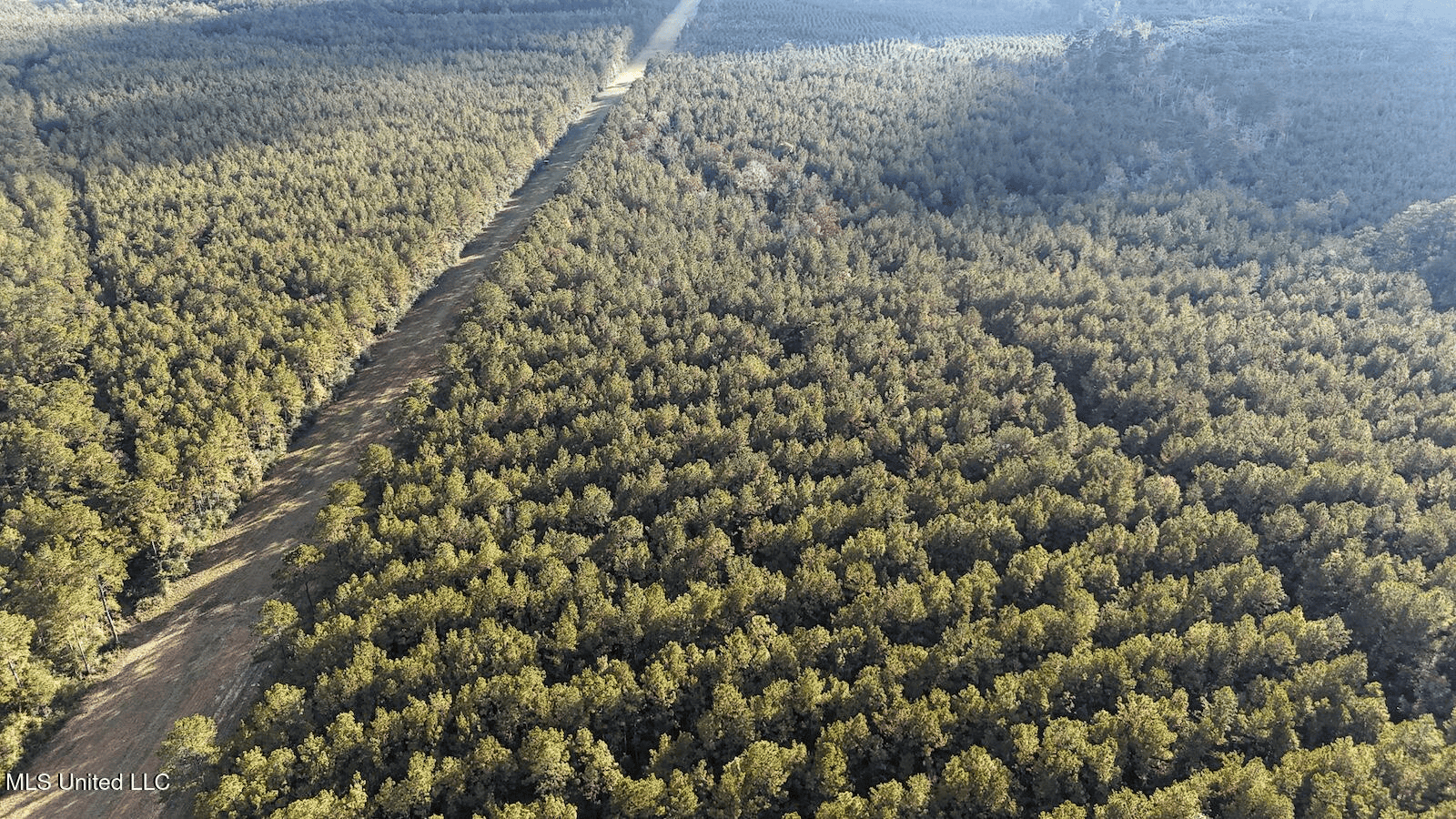 Prime Hunting Property in St Helena Parish, LA