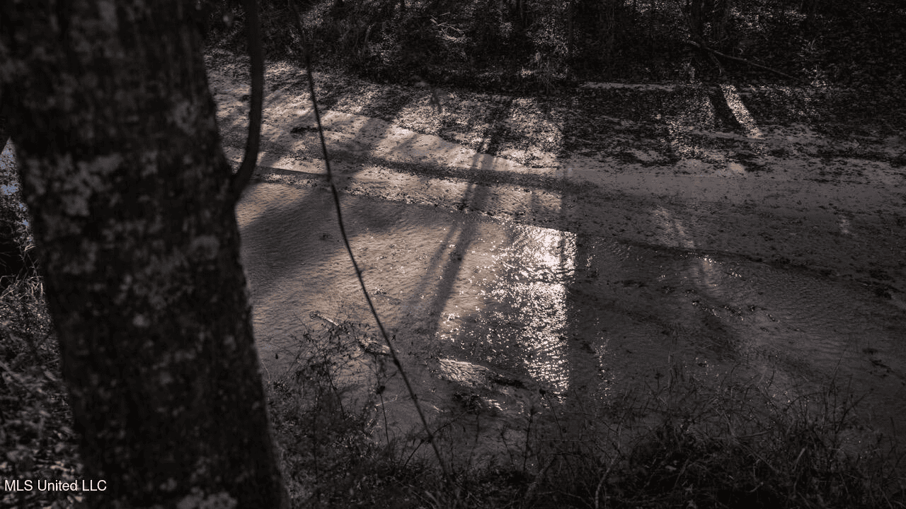 84.5 Acres in Woodville, MS on Hwy 24 with Creeks