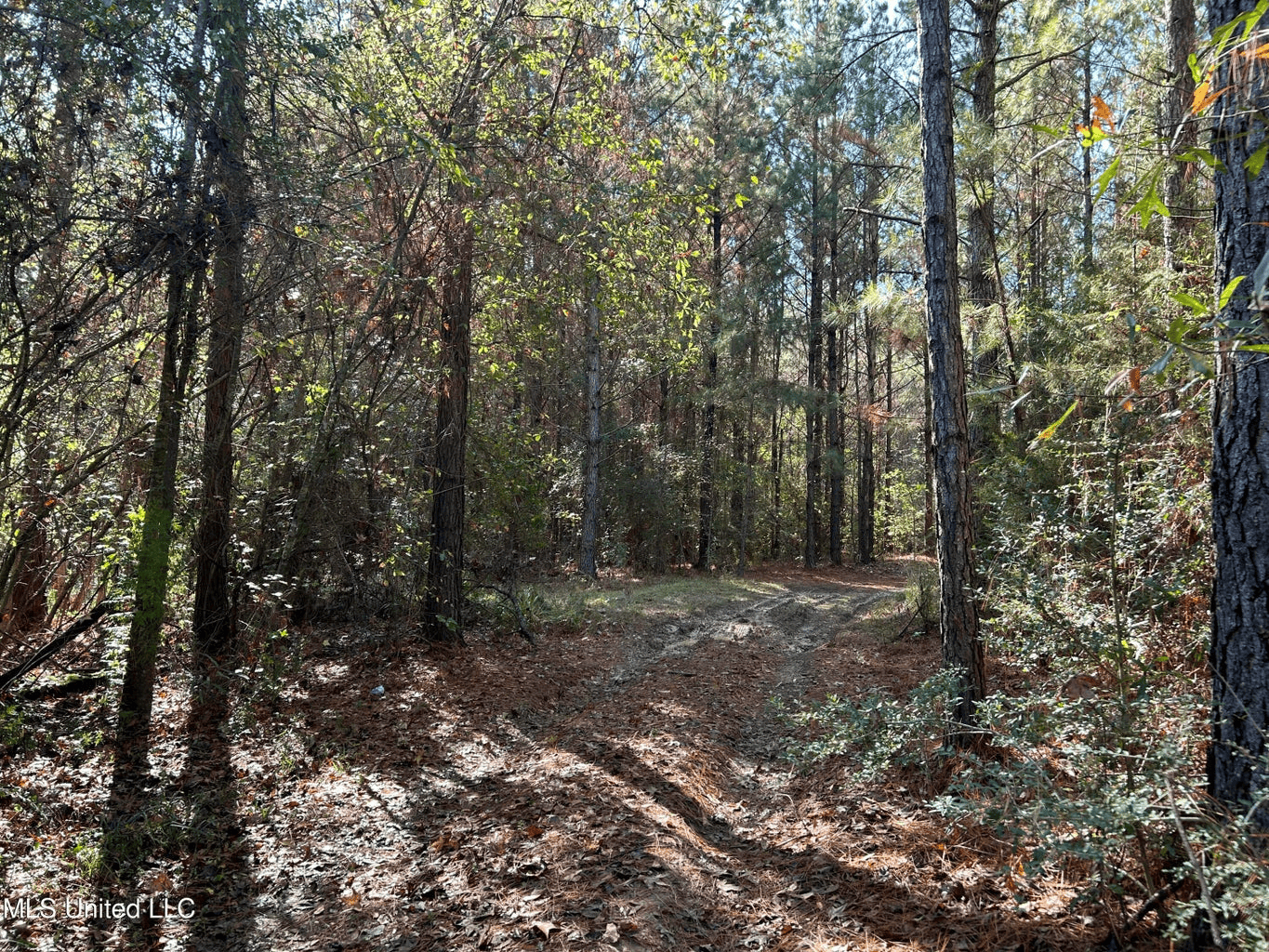 39.7 Acres in Brookhaven MS