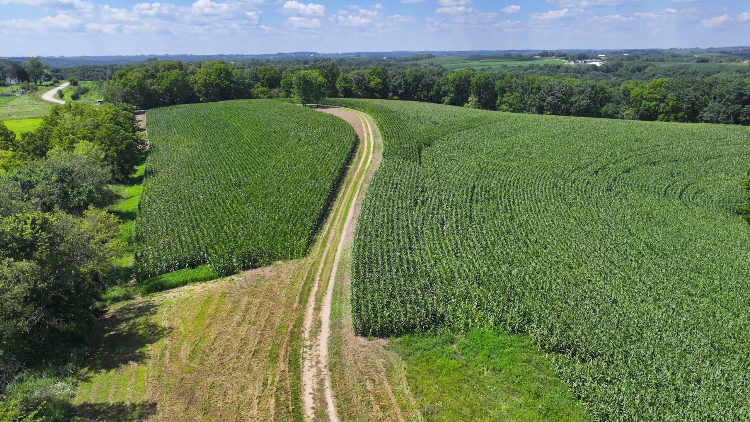 57+/- Acre Retreat in Wisconsin’s Driftless Area, Crawford County