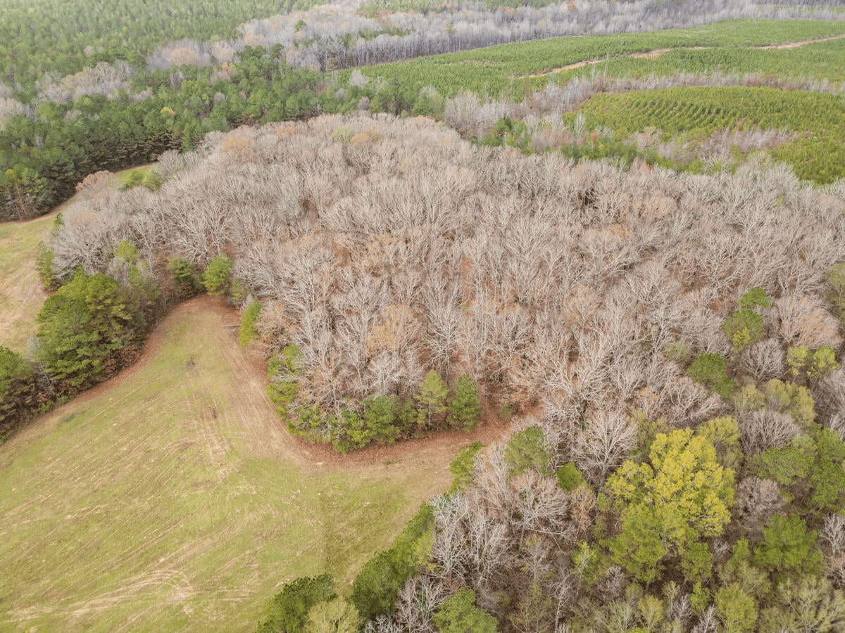 Timberland Farmland For Sale Clay County MS
