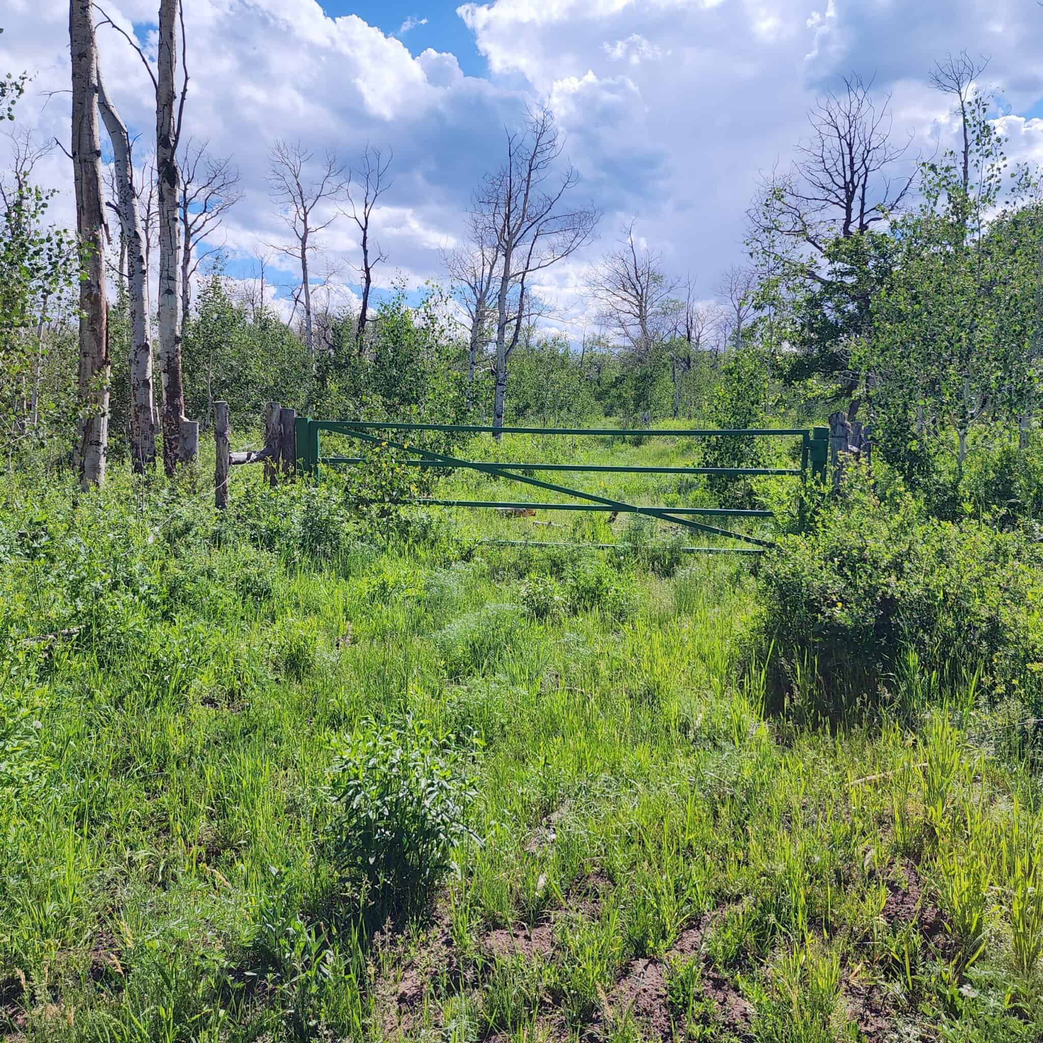 Colorado Hunting Land for Sale