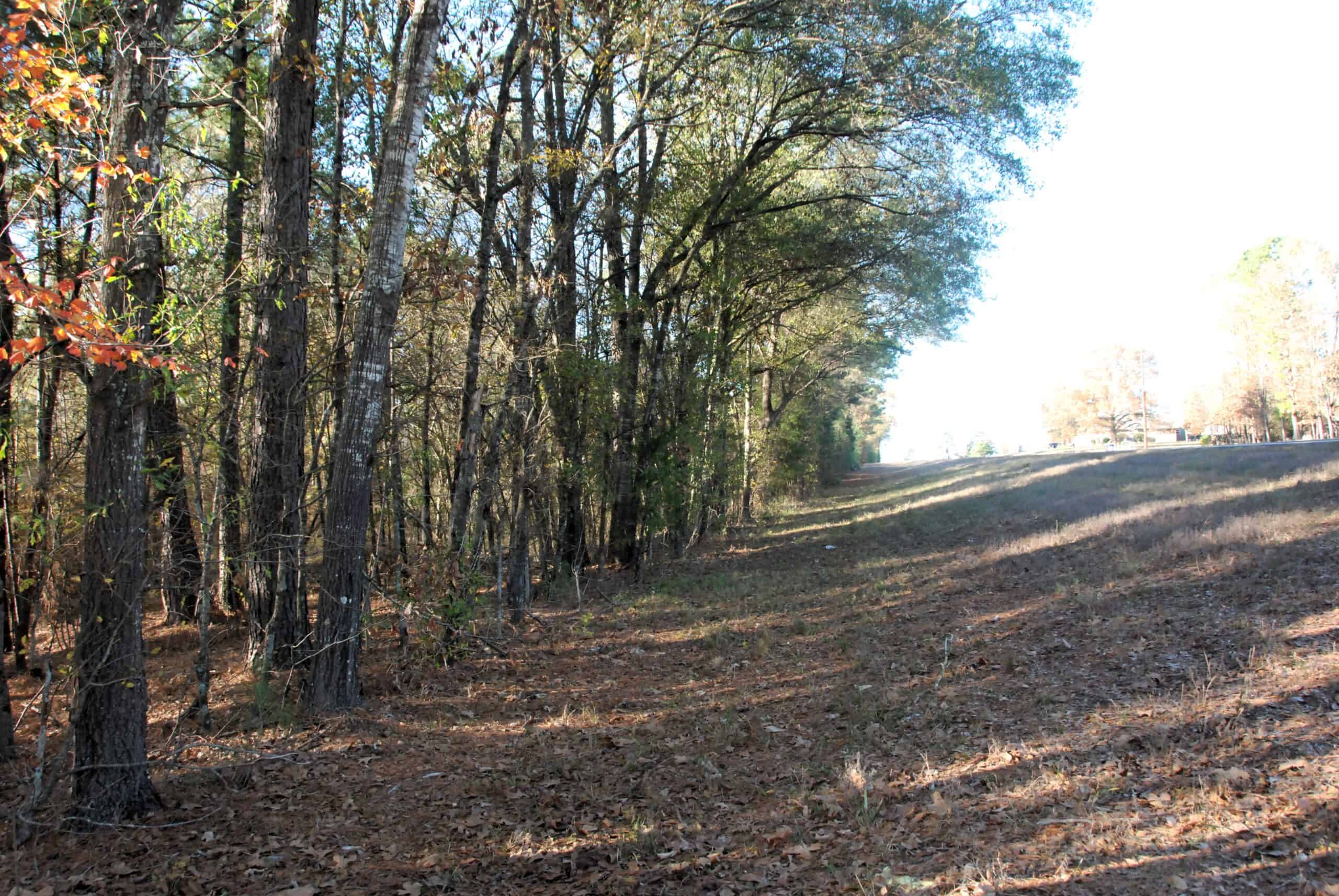 19.984 Acres East Texas Hunting Land near Hawkins TX Wood County