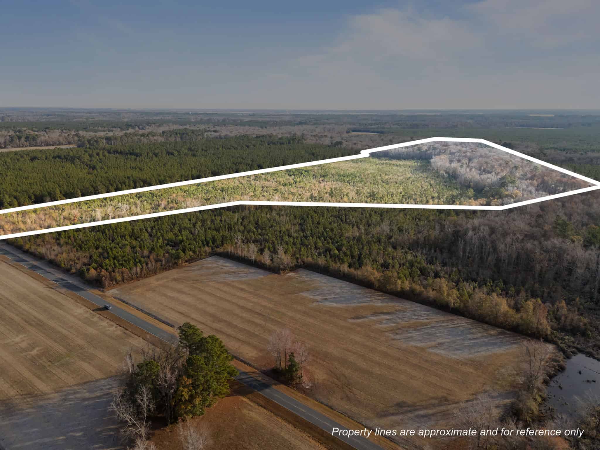 52-Acre Timber and Hunting Tract Near New Bern, NC