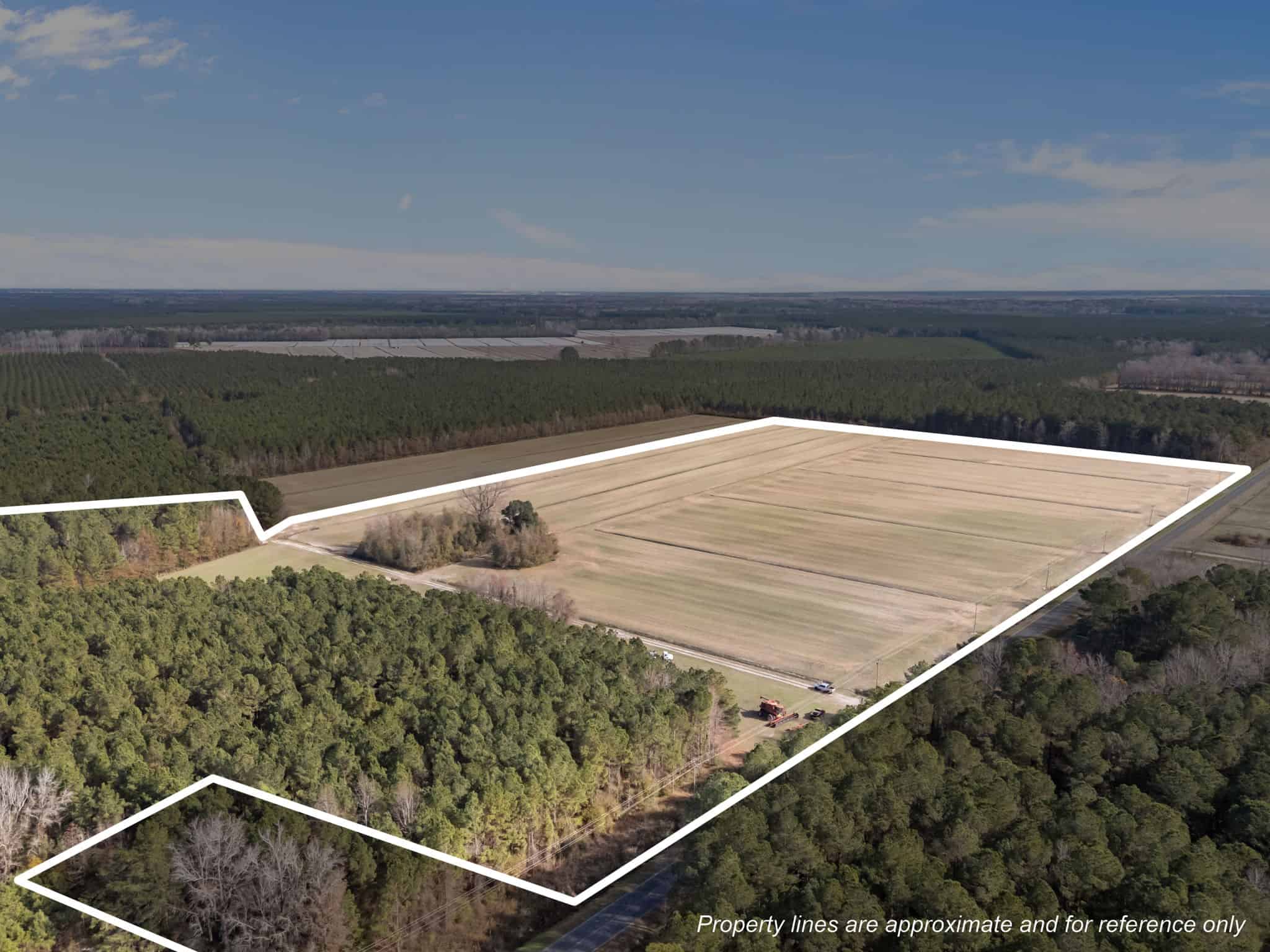 93-Acre Farm & Timber and Hunting Tract Near Washington, NC