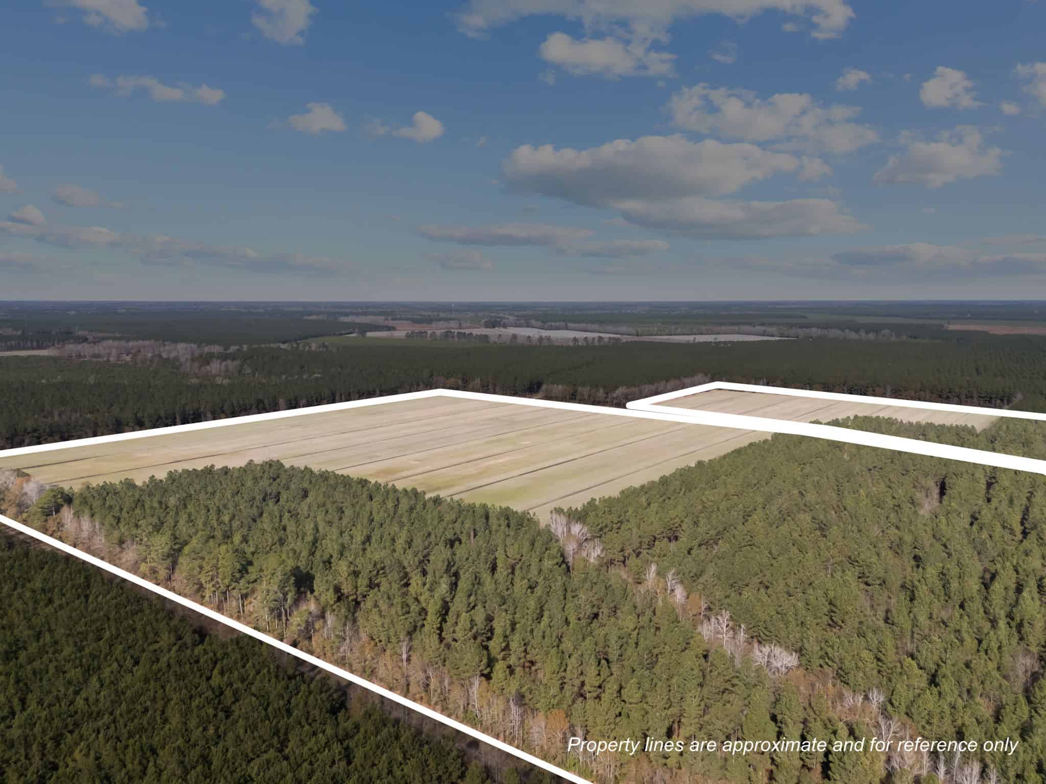 125 Acres of Farmland & Timberland on Tuten Road for Sale