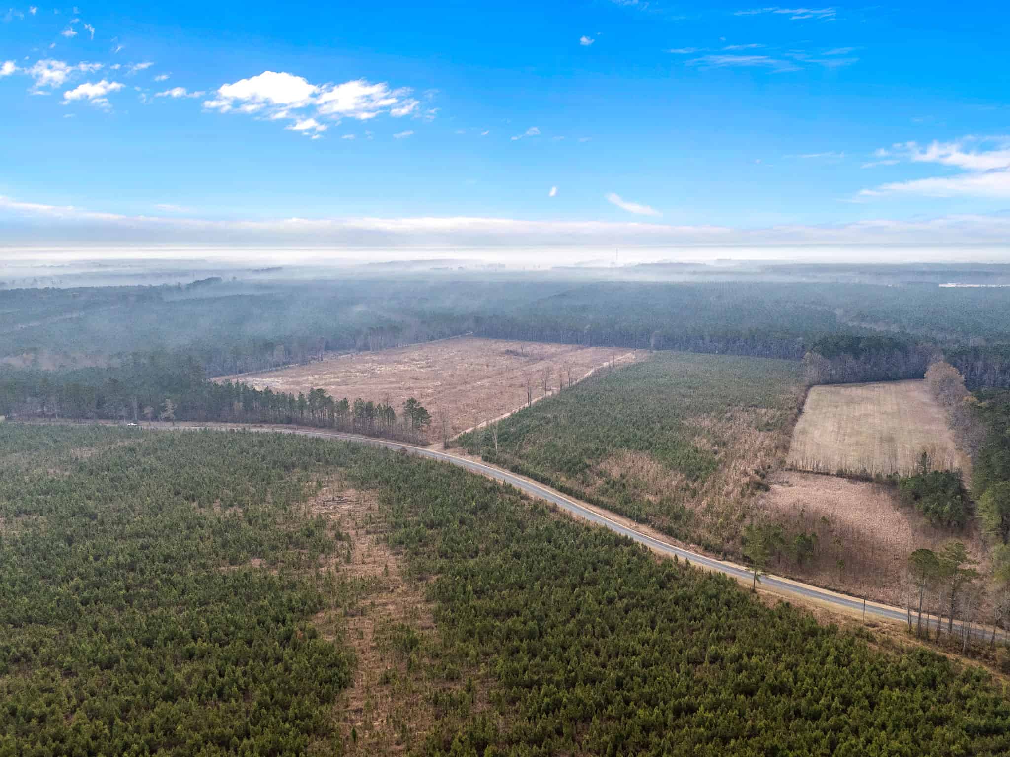 51-Acre Timber & Hunting Tract on Blounts Creek, NC