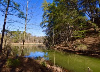 Warrick County IN Hunting and Recreational Property For Sale