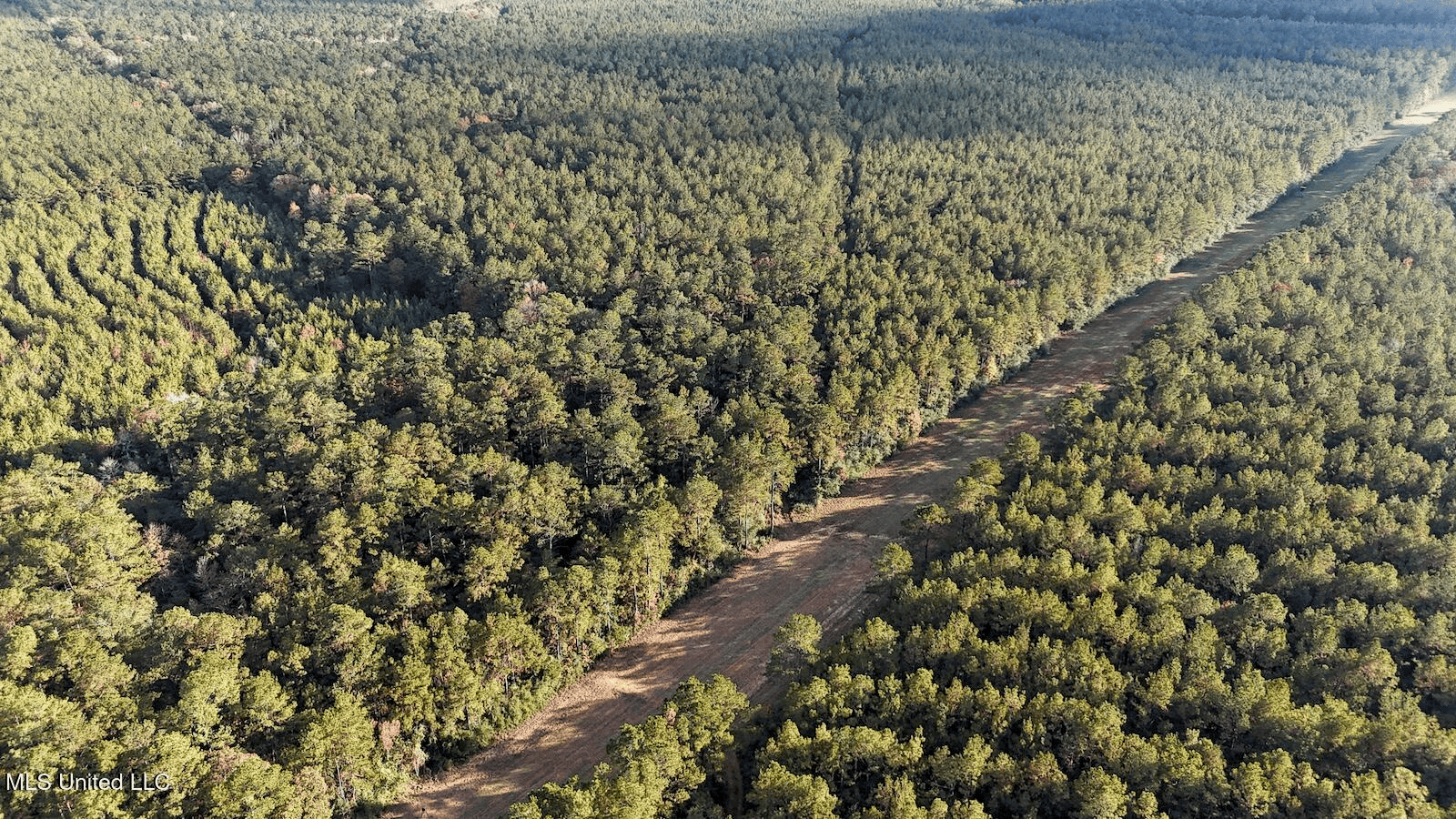 Prime Hunting Property in St Helena Parish, LA