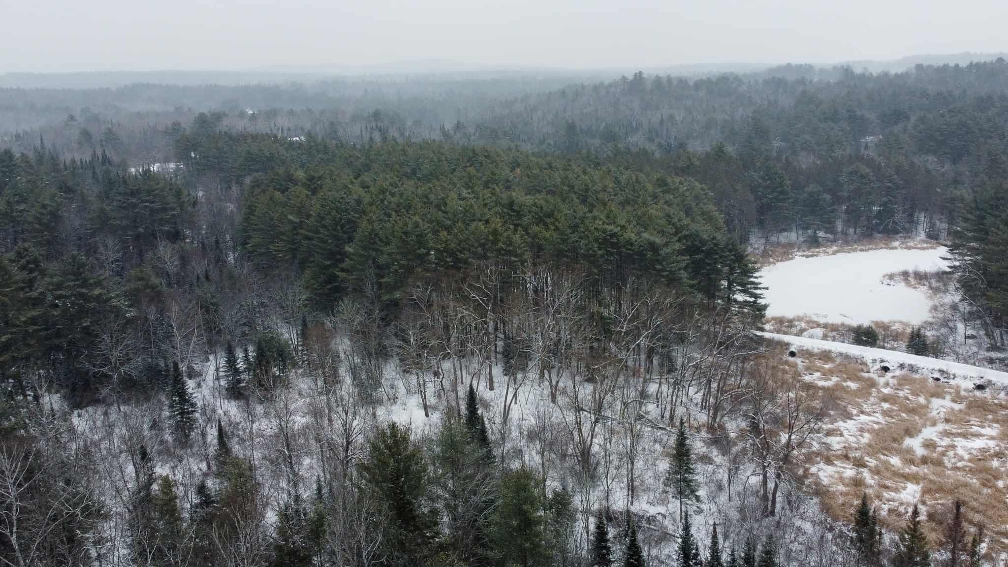 33.4 Acres with Private Pond – Pittston, ME