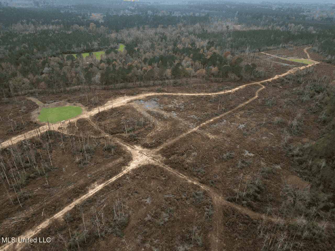283± Acres for Sale Amite County, Mississippi