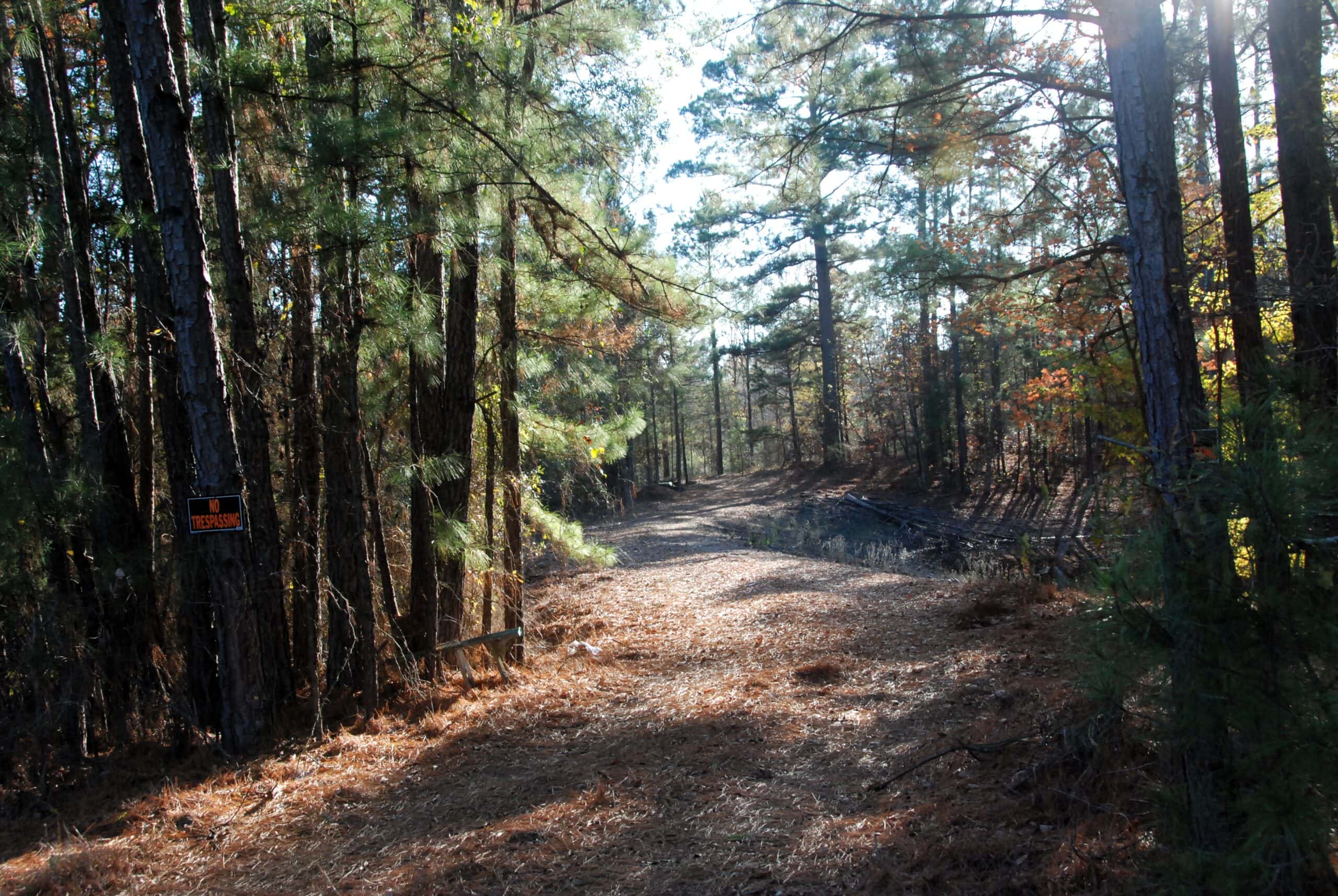 19.984 Acres East Texas Hunting Land near Hawkins TX Wood County