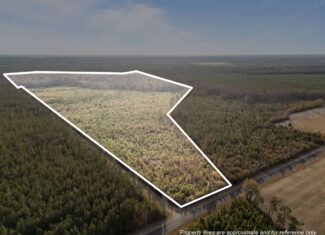 52-Acre Timber and Hunting Tract Near New Bern, NC