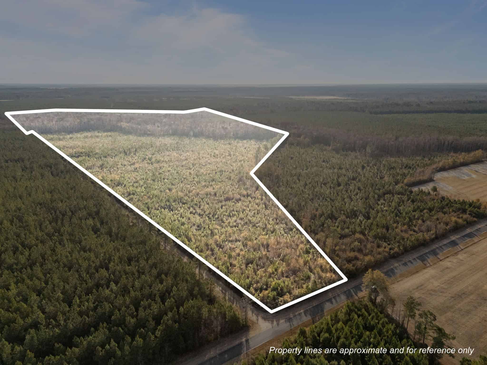 52-Acre Timber and Hunting Tract Near New Bern, NC