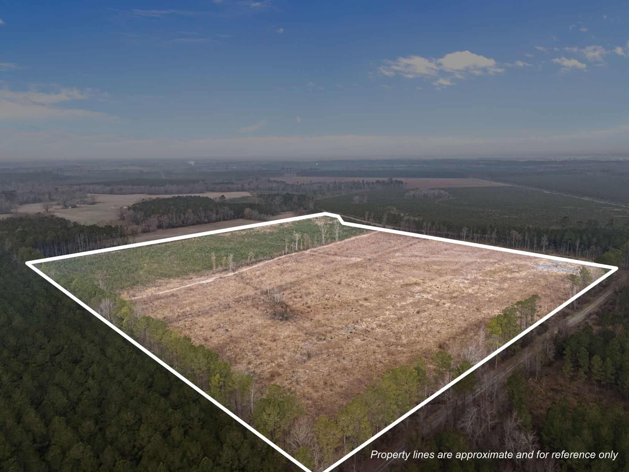 51-Acre Timber & Hunting Tract on Blounts Creek, NC