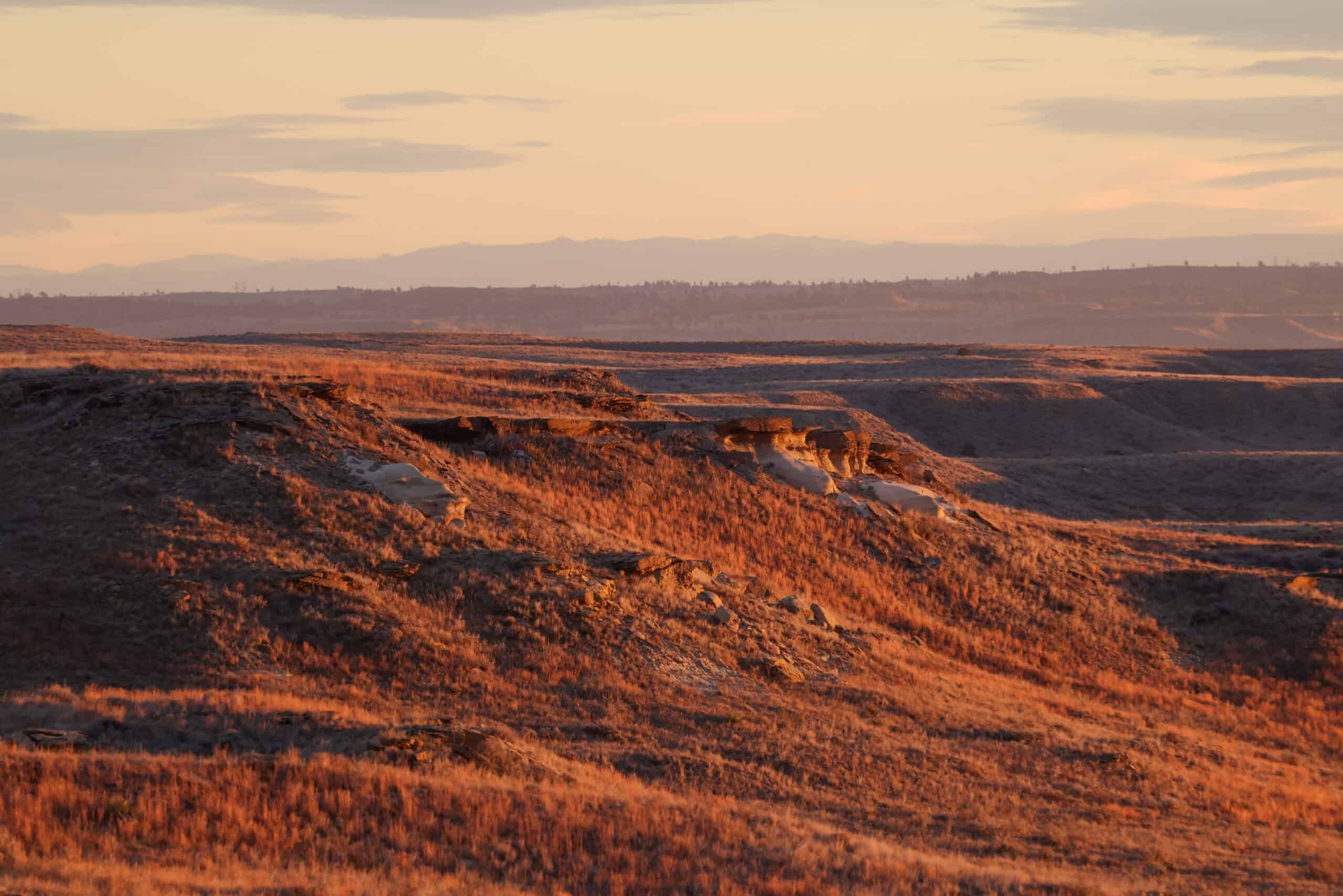 S Bar Ranch – 19,816± Acres North of Custer, Yellowstone County, Montana