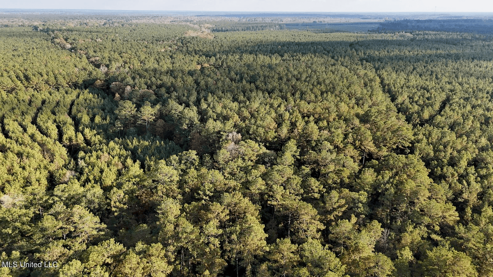 Prime Hunting Property in St Helena Parish, LA