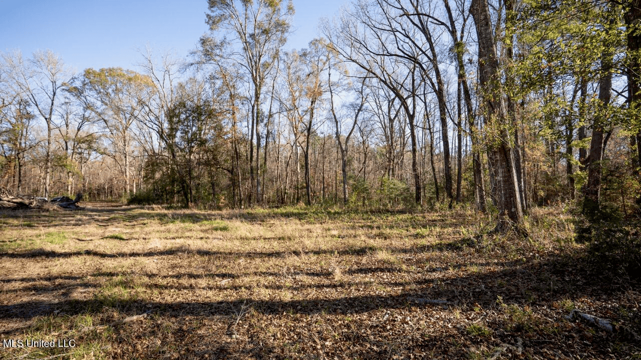 84.5 Acres in Woodville, MS on Hwy 24 with Creeks