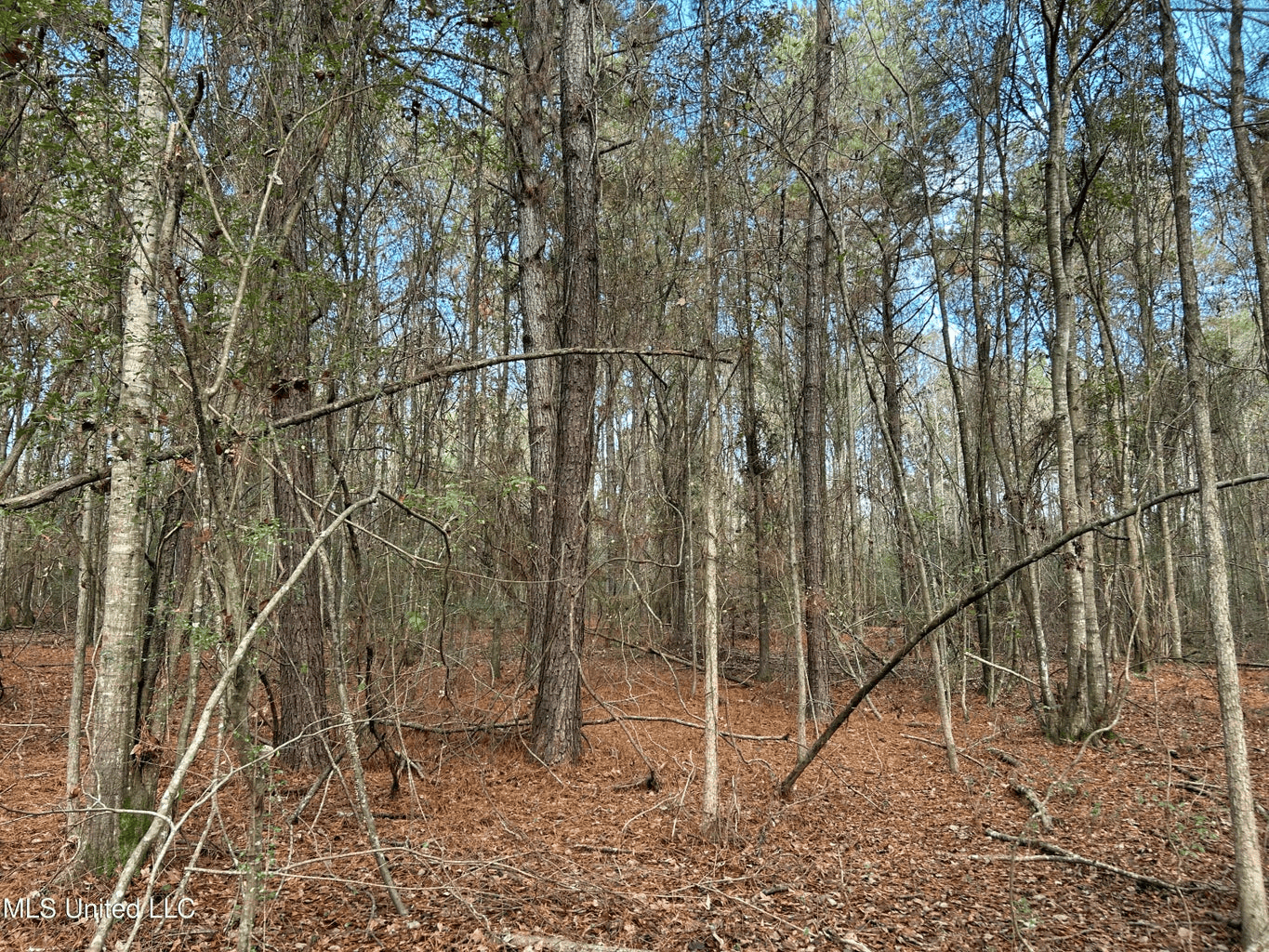 39.7 Acres in Brookhaven MS
