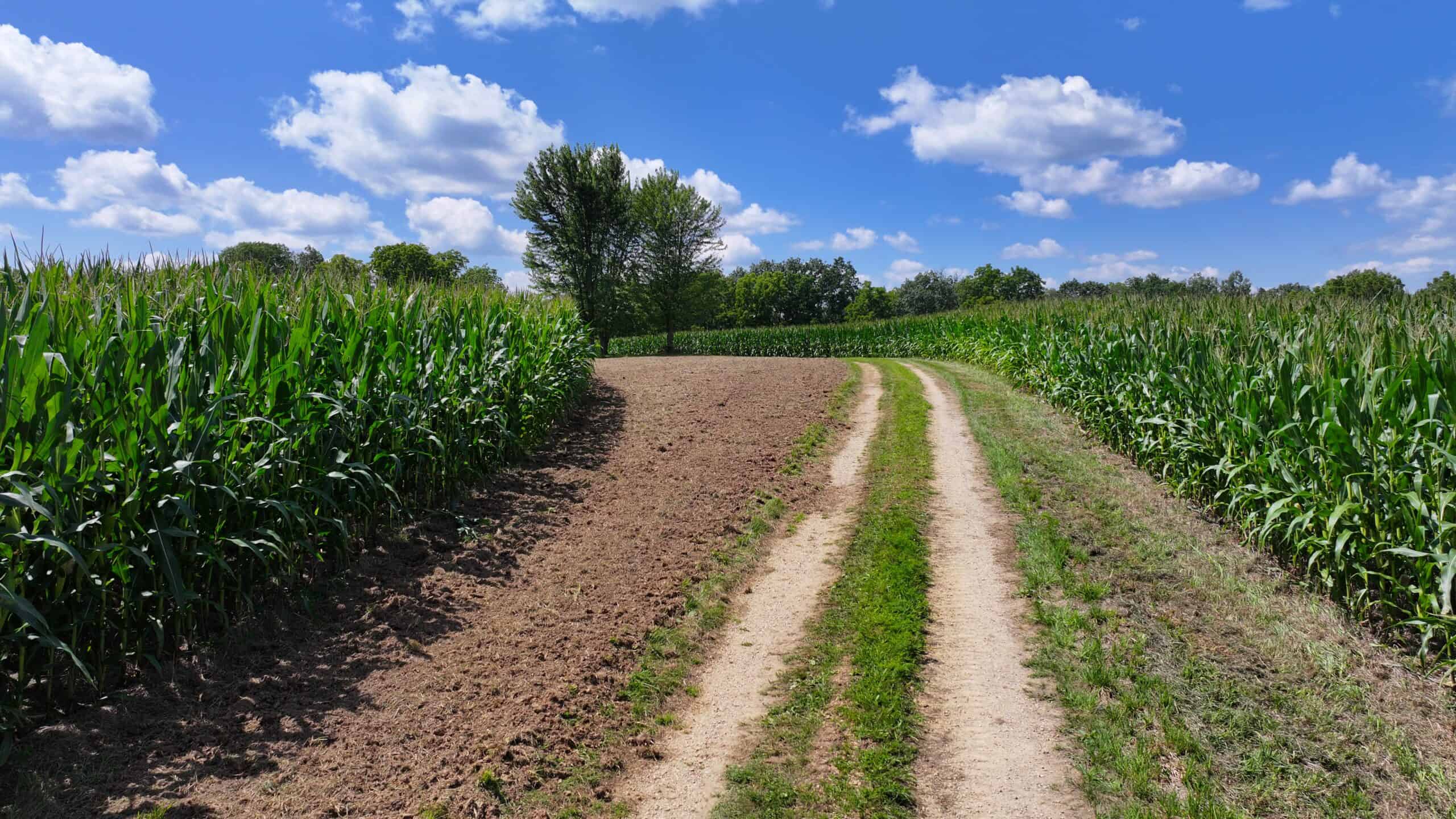 57+/- Acre Retreat in Wisconsin’s Driftless Area, Crawford County