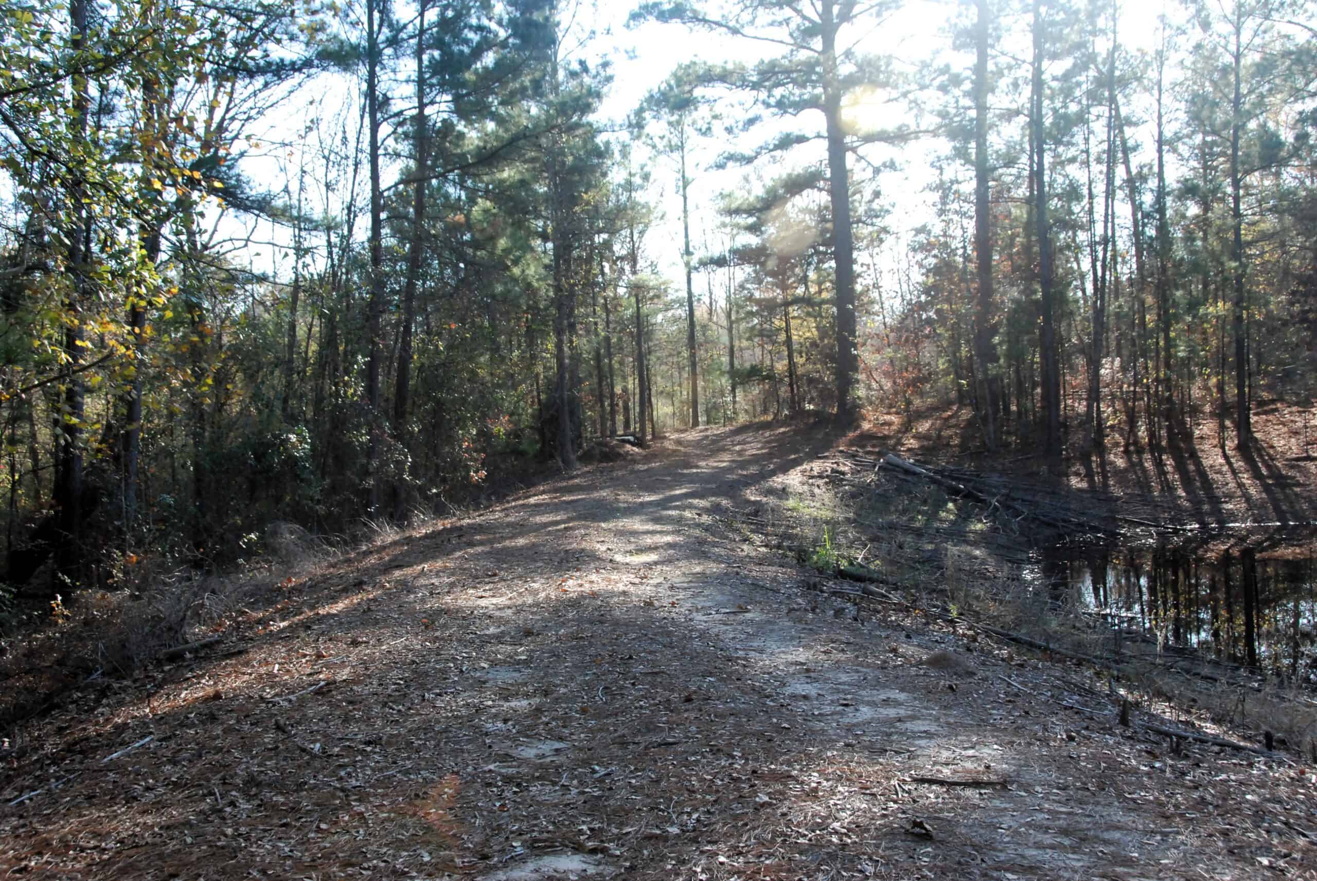 19.984 Acres East Texas Hunting Land near Hawkins TX Wood County