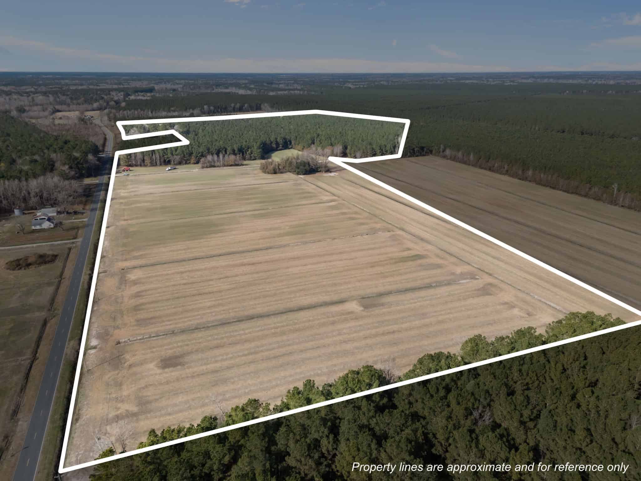 93-Acre Farm & Timber and Hunting Tract Near Washington, NC