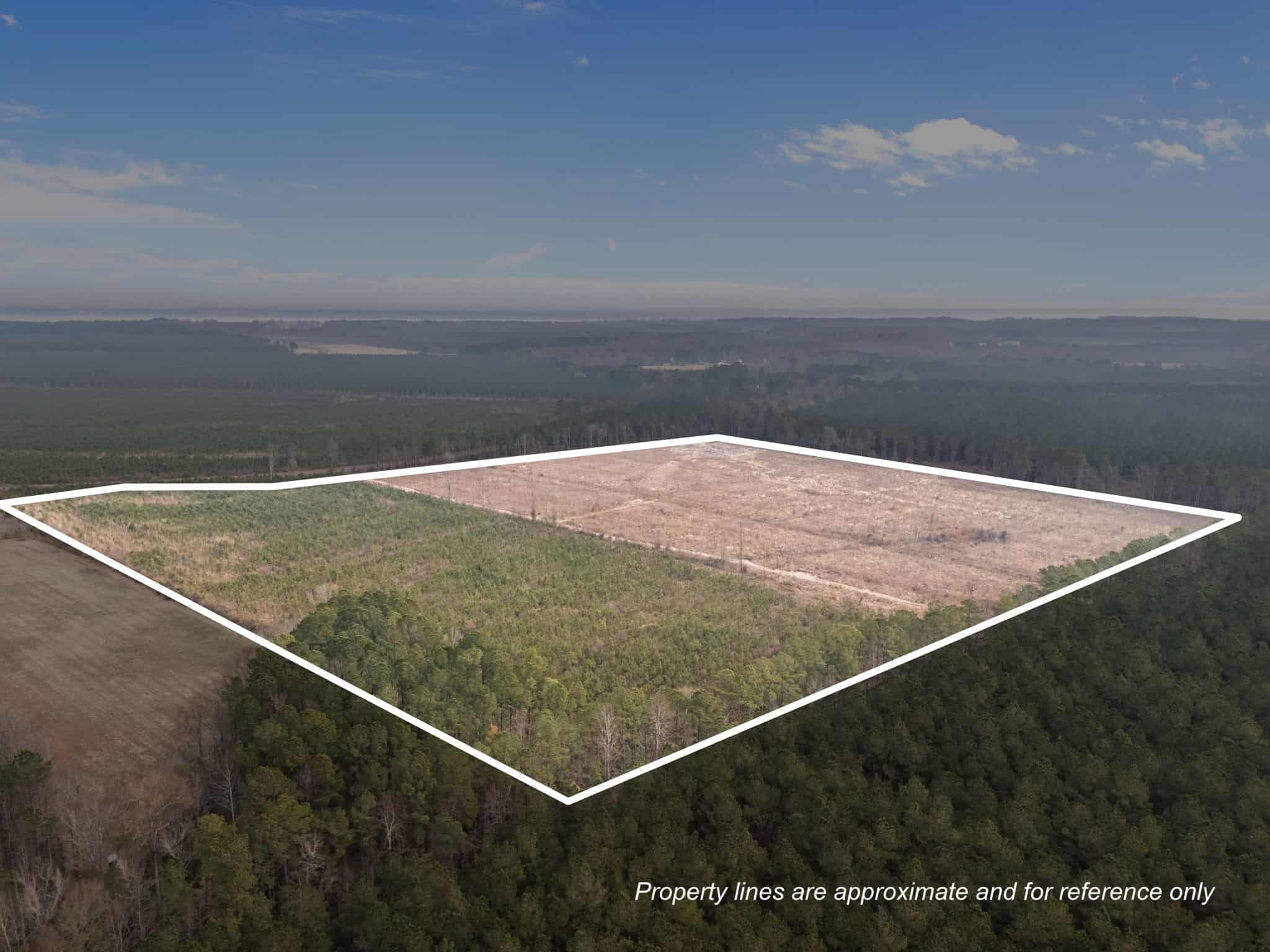 51-Acre Timber & Hunting Tract on Blounts Creek, NC