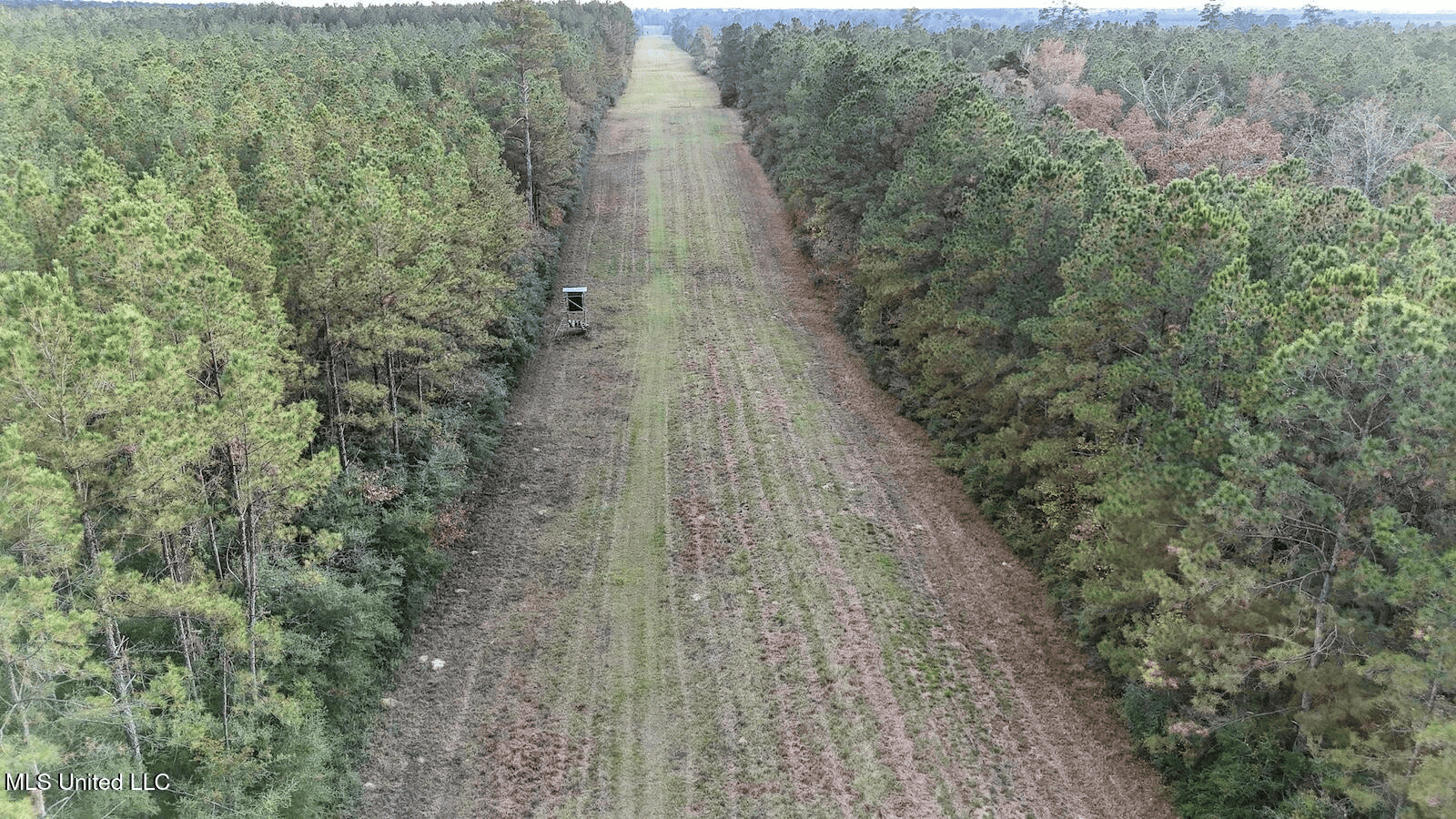 Prime Hunting Property in St Helena Parish, LA
