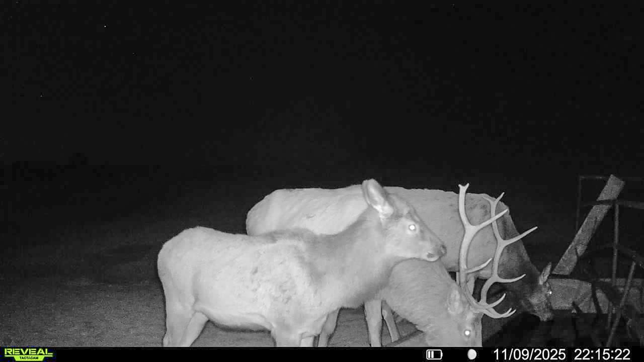 S Bar Ranch – 19,816± Acres North of Custer, Yellowstone County, Montana