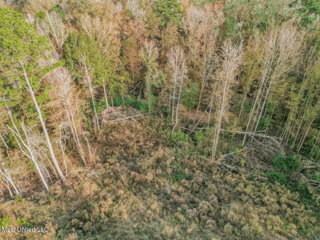 Natchez, MS – The Natchez Retreat on 47 Acres