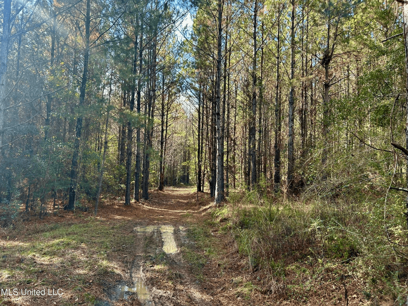 39.7 Acres in Brookhaven MS