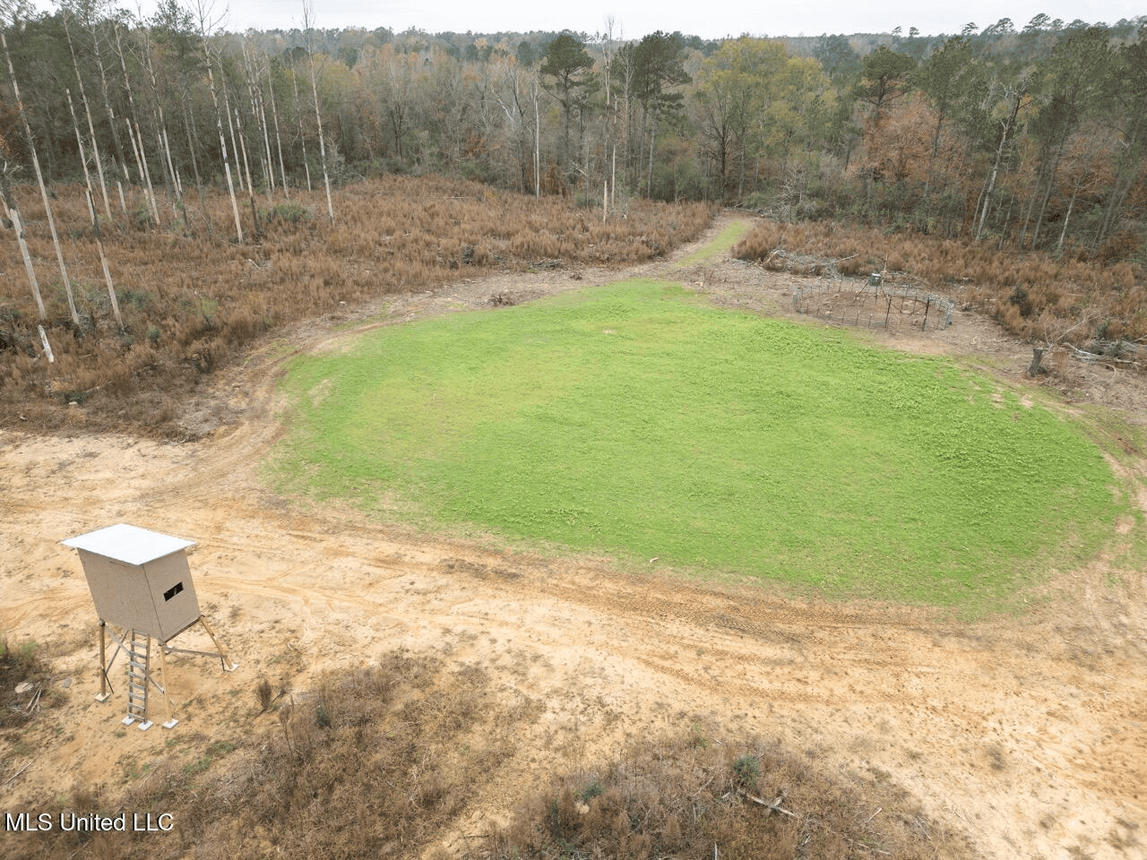 283± Acres for Sale Amite County, Mississippi
