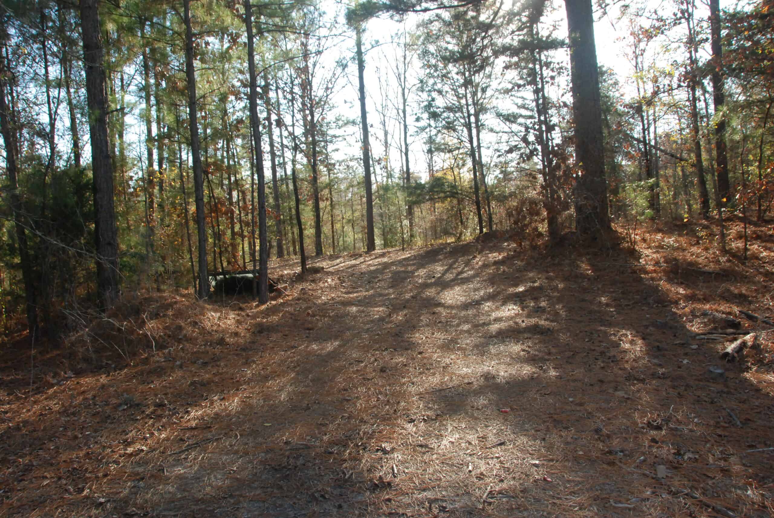 19.984 Acres East Texas Hunting Land near Hawkins TX Wood County