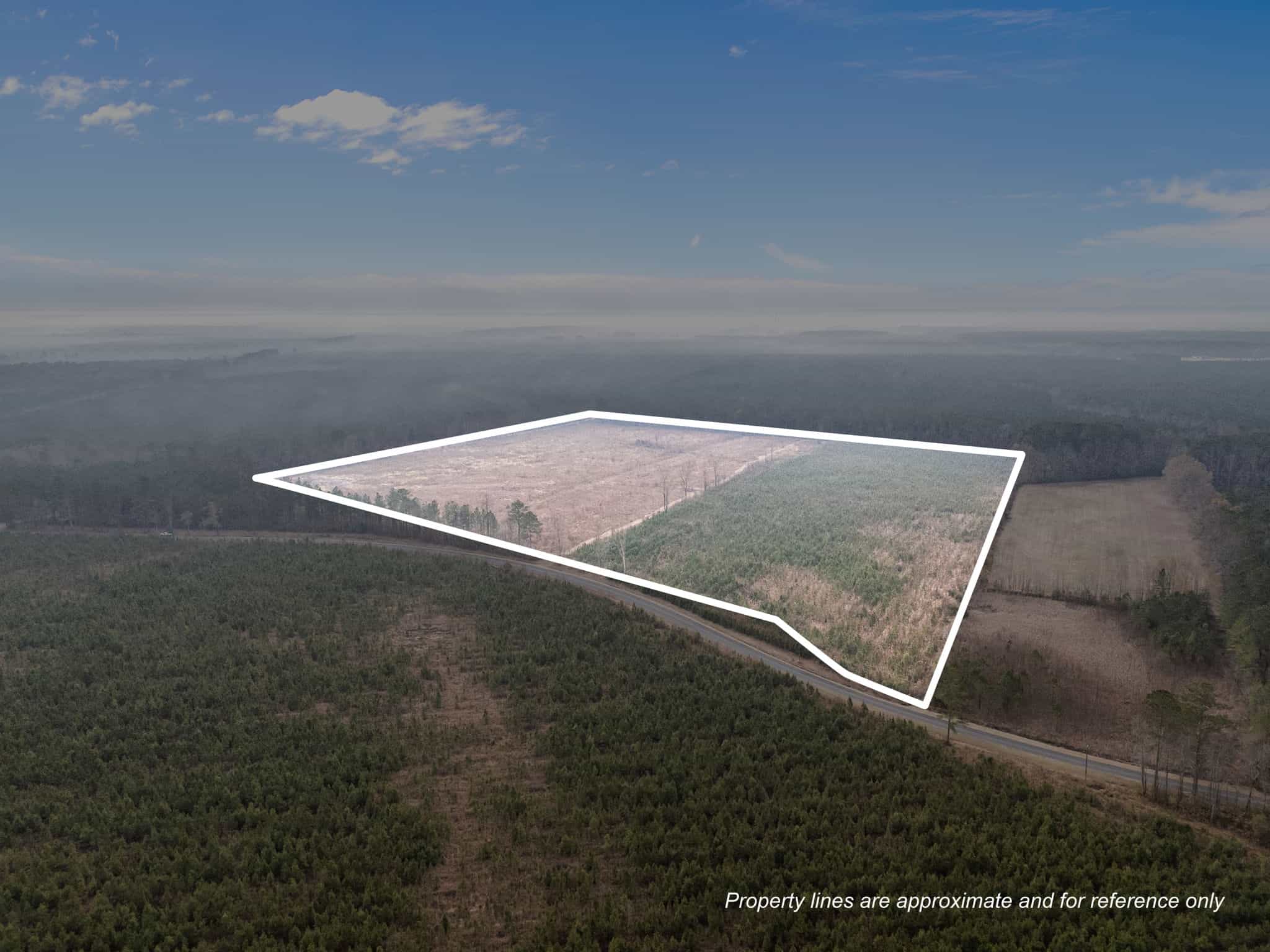 51-Acre Timber & Hunting Tract on Blounts Creek, NC