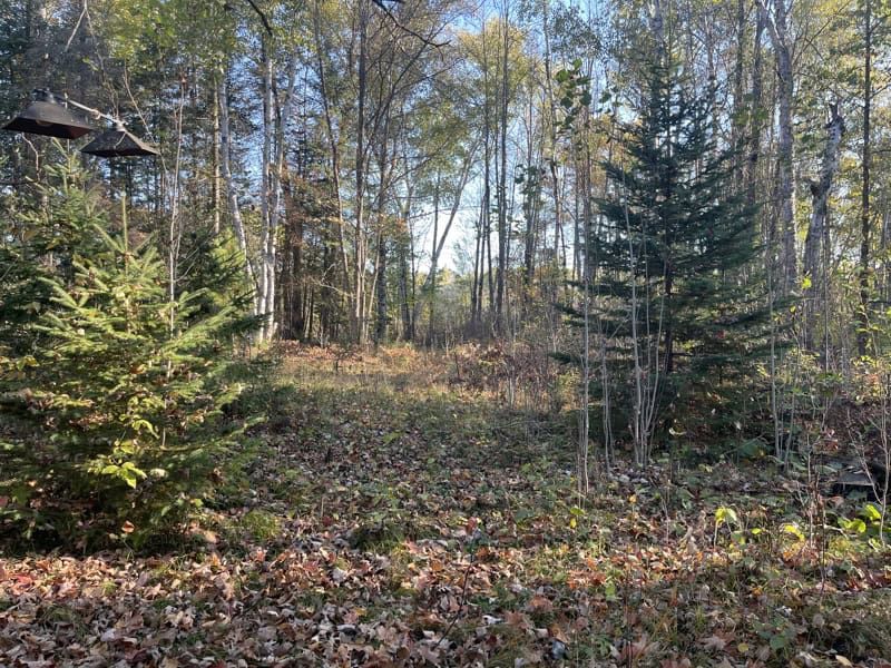 20 Acre Hunting Property w/ Quonset Shack For Sale in Kerrick MN