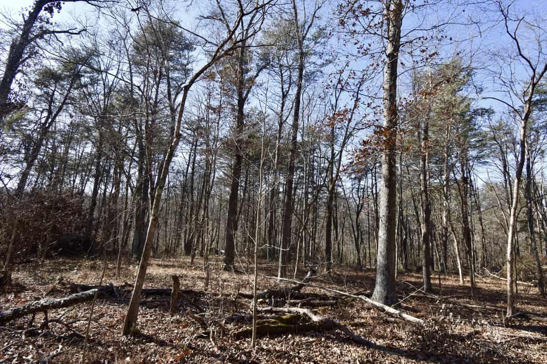 Warrick County IN Hunting and Recreational Property For Sale