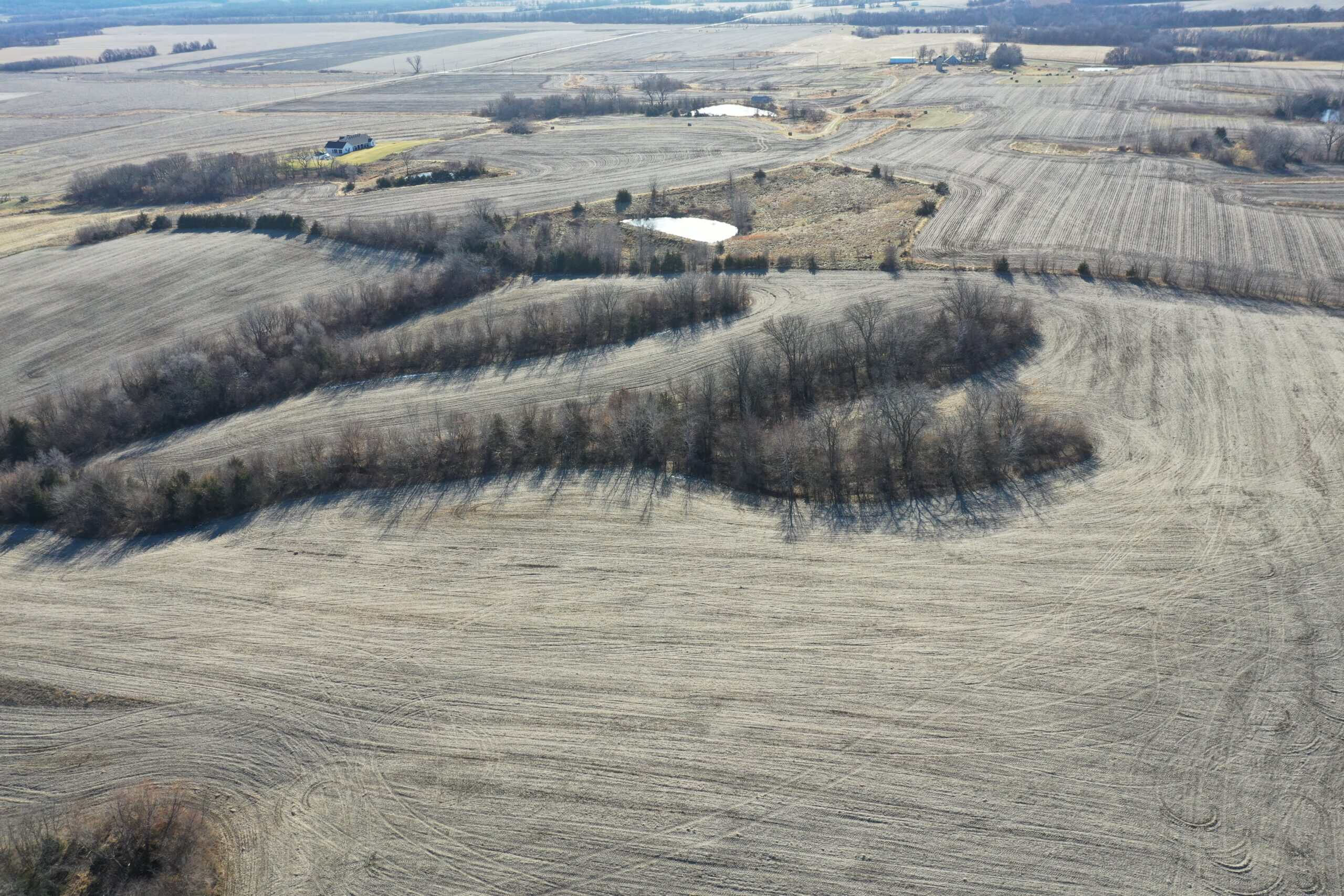 58± Acre Farm with Tillable Ground, Build Site & Hunting