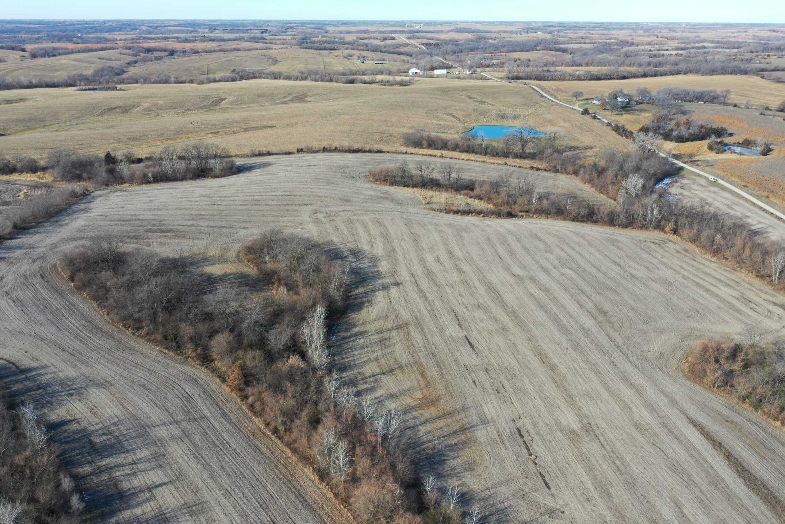 58± Acre Farm with Tillable Ground, Build Site & Hunting