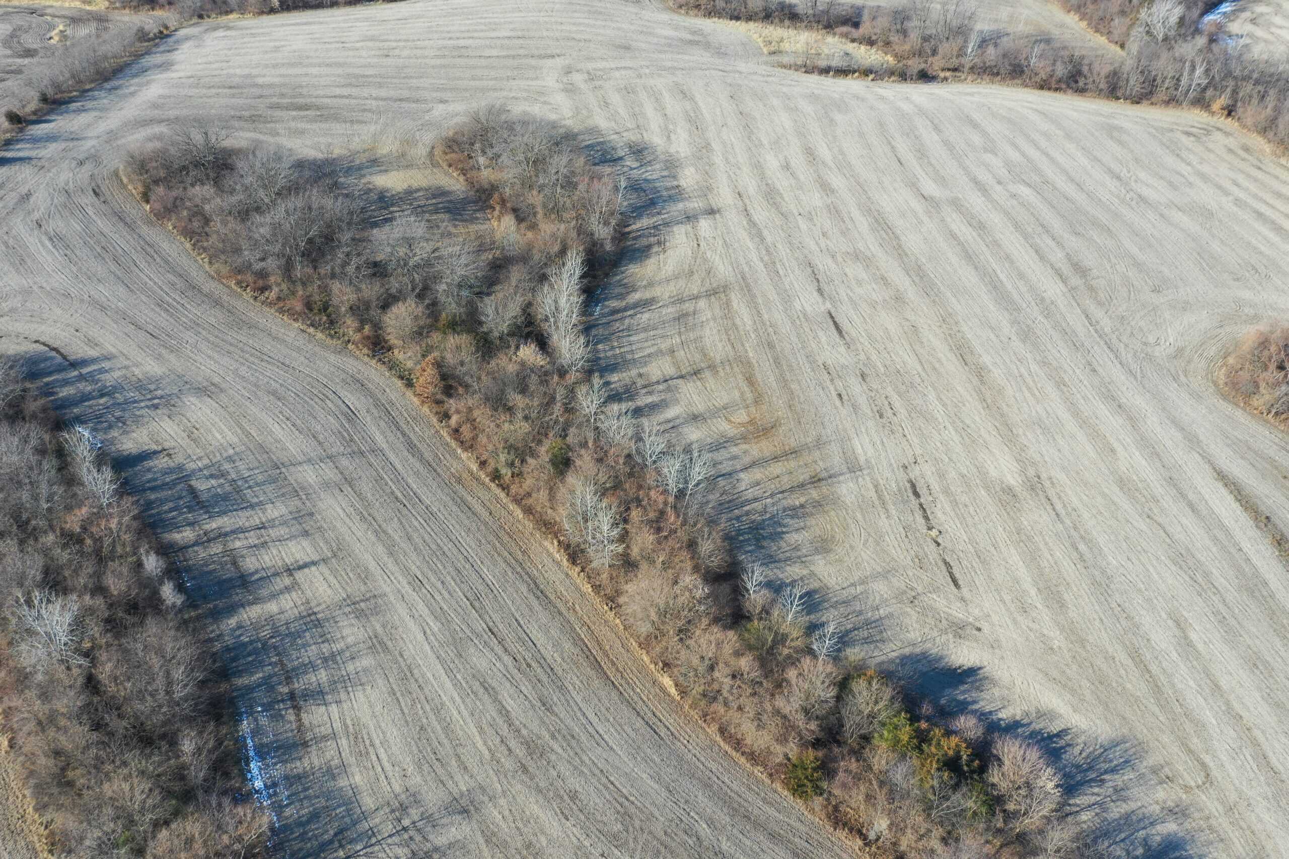 58± Acre Farm with Tillable Ground, Build Site & Hunting