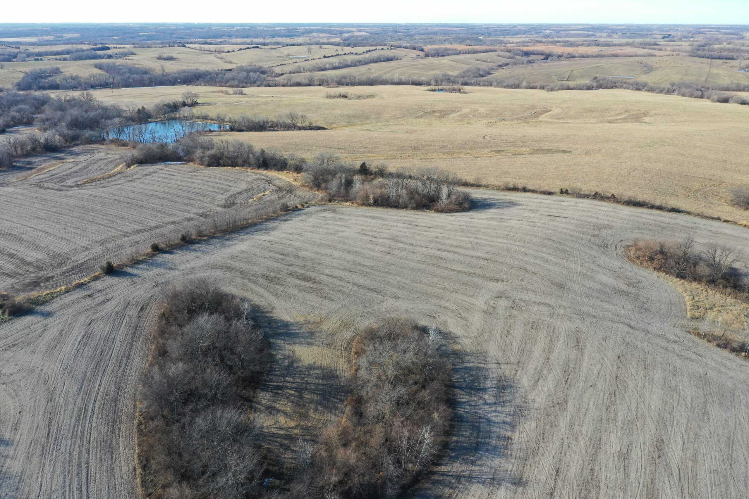 58± Acre Farm with Tillable Ground, Build Site & Hunting
