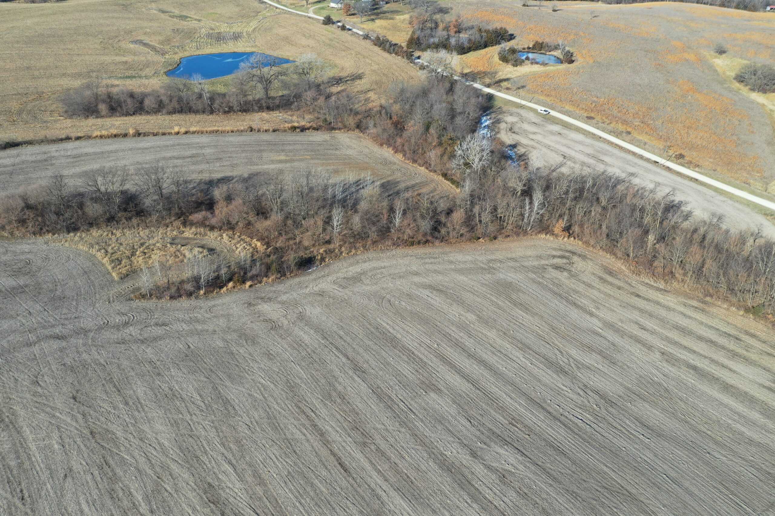 58± Acre Farm with Tillable Ground, Build Site & Hunting