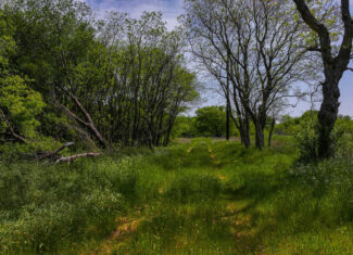 North Texas Hill Country Residential Land in Montague County 20 acre Residential Tract