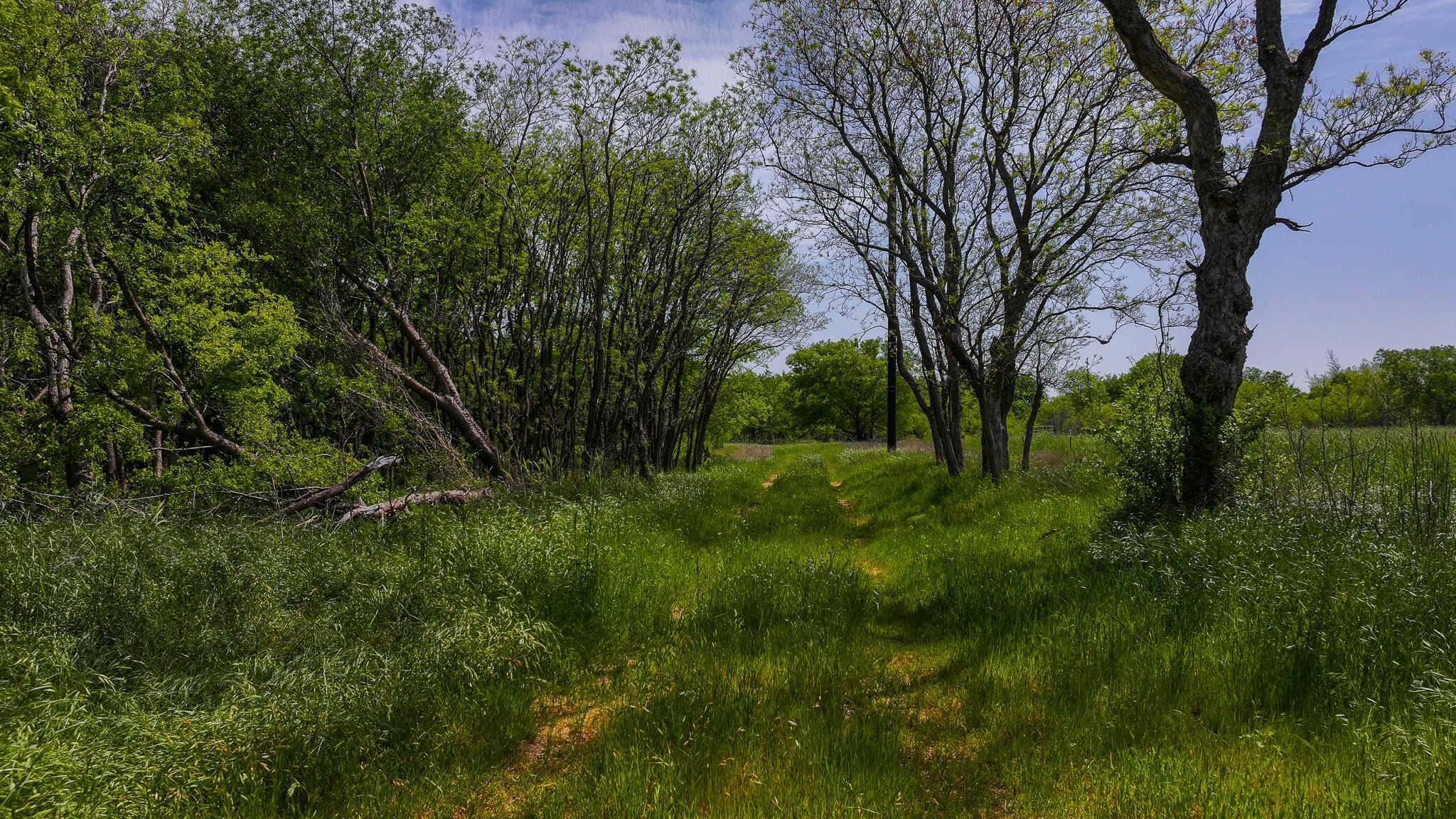 North Texas Hill Country Residential Land in Montague County 20 acre Residential Tract