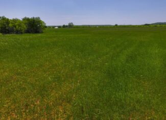 20 ac North Texas Hill Country Residential Land in Montague County