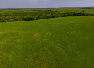 20 ac Prime North Texas Residential Land in Montague County, TX