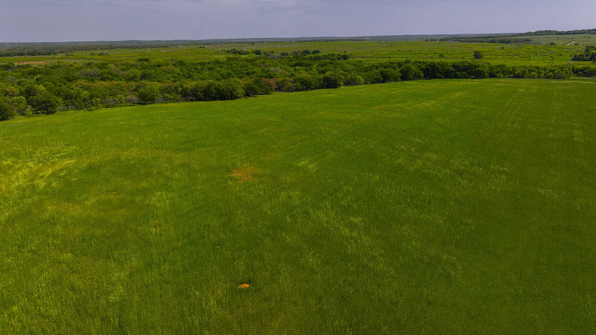20 ac Prime North Texas Residential Land in Montague County, TX