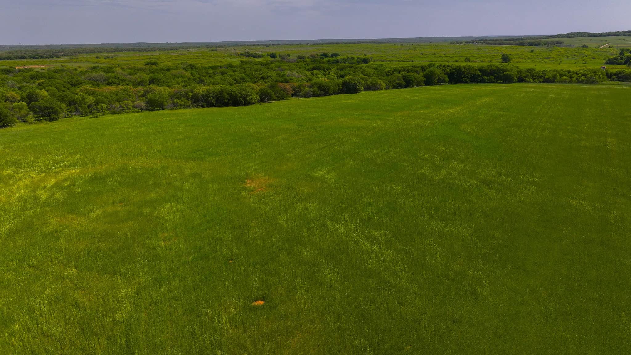 North Texas Hill Country Residential Land in Montague County 20 acre Residential Tract
