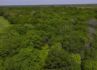 20 ac Prime North Texas Residential Land in Montague County, TX