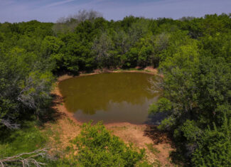 22 +/- ac Residential in Montague County, Texas